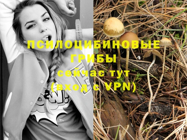 каннабис Абинск