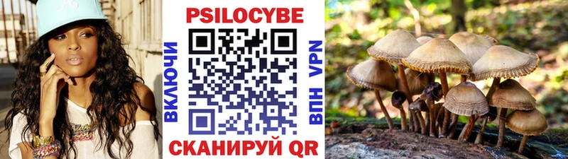 гидра зеркало  купить наркотик  Шахунья  Псилоцибиновые грибы MAGIC MUSHROOMS 